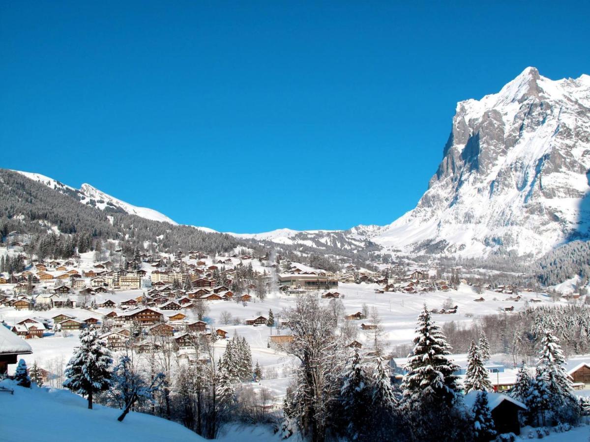 Apartment Chalet Unterpfand 10 Grindelwald Exterior foto